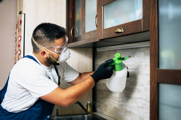 Best Emergency Pest Control  in Lovington, IL