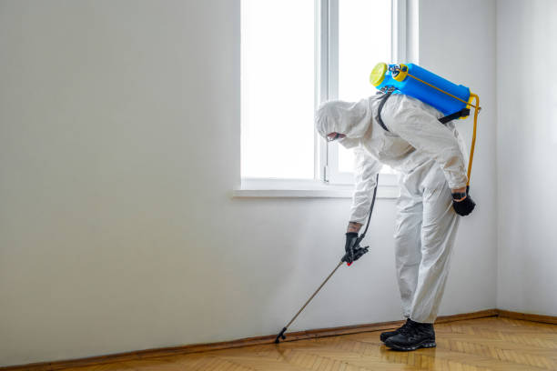 Pest Control for Restaurants in Lovington, IL