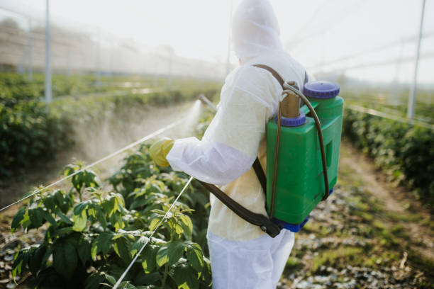 Best Pest Inspection Near Me  in Lovington, IL